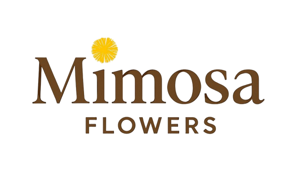 Mimosa Flowers 